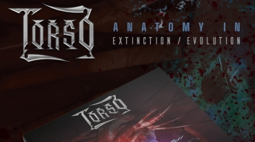 Torso New album