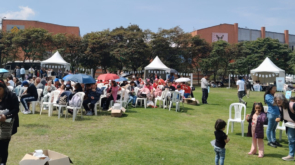 Proyectos Bibliotecarios comunes